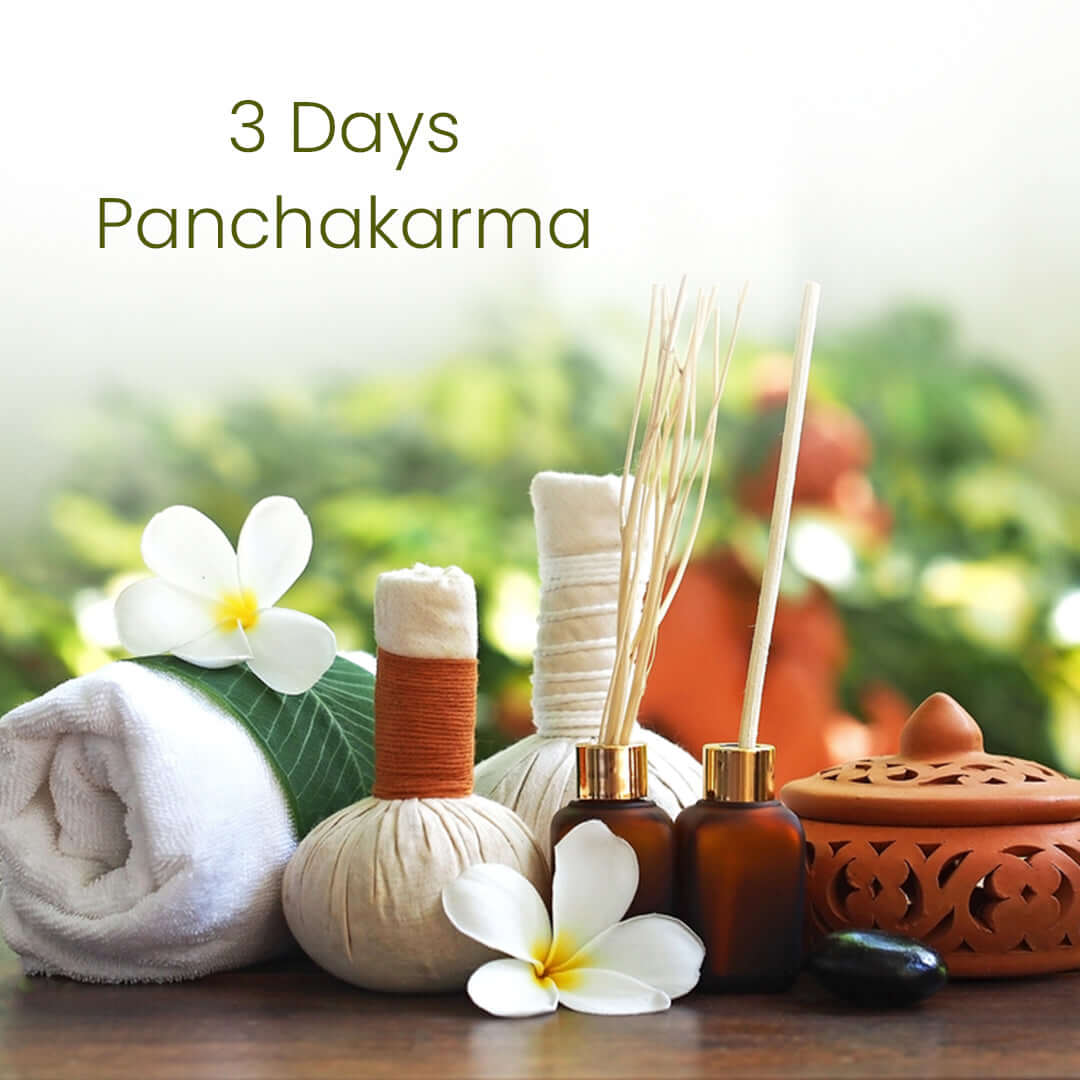 3 Day Panchakarma Ayurvedic Cleanse Therapy For Canada People Sevayu
