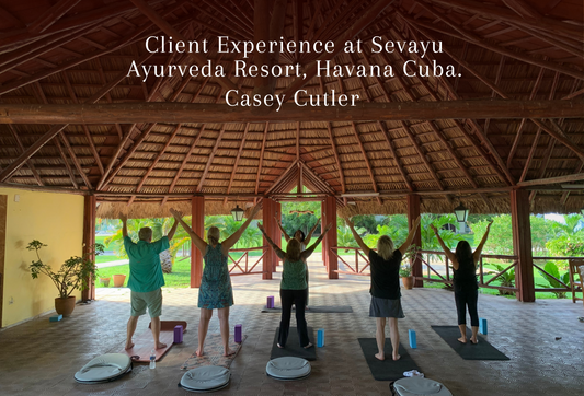 Client's Experience of Panchakarma Treatment