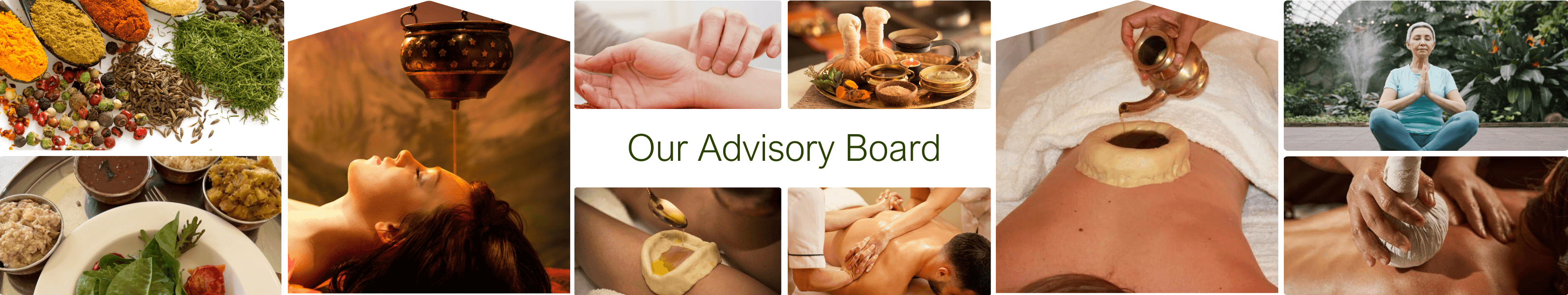 Our advisory board features distinguished professionals dedicated to providing personalized, in-depth consultations to guide you on your wellness journey.