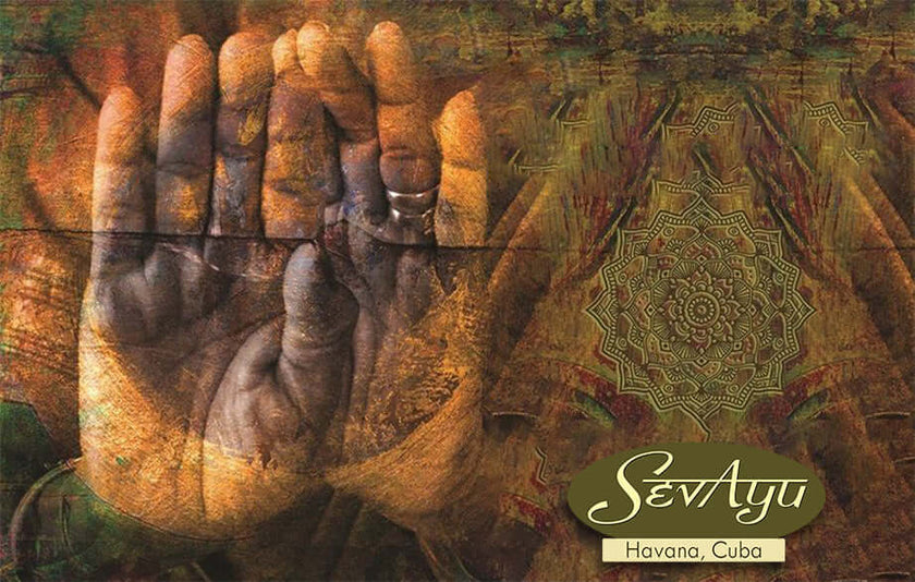 A close-up of a trustworthy Ayurvedic hand that guests and clients can rely on, such as Sevayu Cuba.