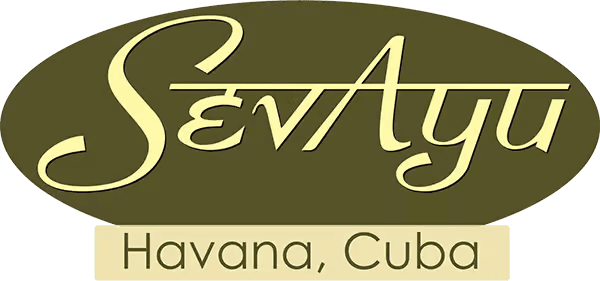 Sevayu Ayurveda Resort